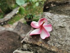 -槟城宝盛园民宿