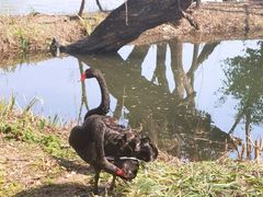 -长兴太湖图影湿地文化园