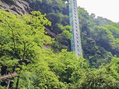 -碧峰峡风景区