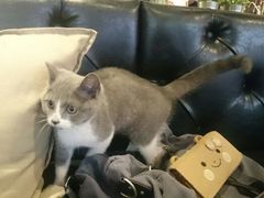 小灰-MIKAKU(万达广场上海宝山店)