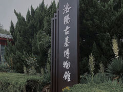 -洛阳古墓博物馆