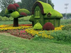 -长白岛森林公园