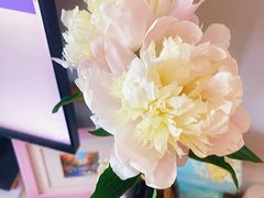 -双季花艺园艺市场(浦东店)