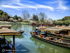 -西溪国家湿地公园