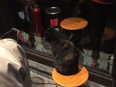 -韩国料理大力士(屏风街店)