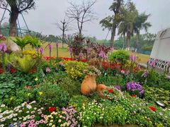 -东莞植物园