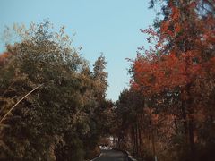 -云龙山