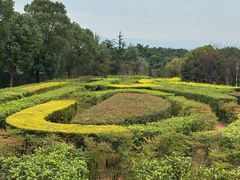 -铁山坪森林公园