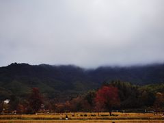 -塔川景区