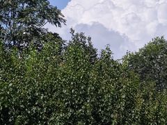 -石景山区图书馆(八角南路)