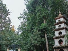 -都江堰普照寺