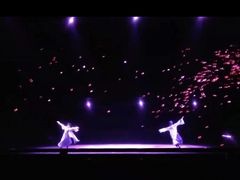 -郑州方特梦幻王国