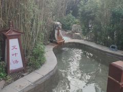 -徂徕山森林康养度假谷温泉