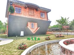 -金山农民画村-枫泾波兰倒置屋