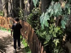 -中国杭州低碳科技馆