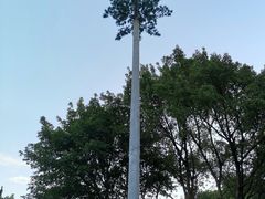 -十九路军淞沪抗日阵亡将士陵园