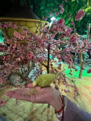 -酷嗒动物文化乐园(cutezoo西溪乐天城店)