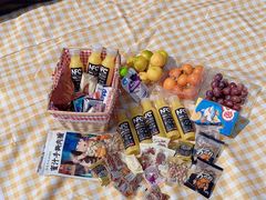 -春花秋色城市公园