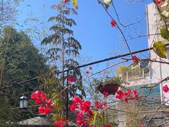 -新竹里馆·花园餐厅(兴苑路店)