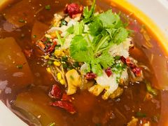 -松沪名灶·豆浆鱼头·新上海菜(飞航吾悦广场店)