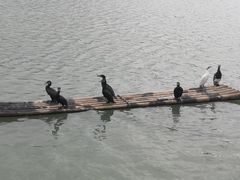 -楠溪江风景名胜区