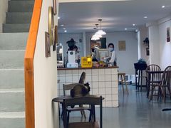 -猫友咖啡店(玉林西路店)