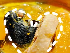 -Darling Queen·Mini·Live·House