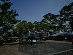 -东莞市大岭山森林公园