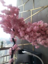 -安芮儿日式美甲美睫皮肤管理