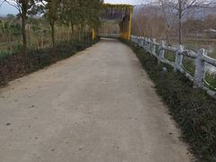 -天适樱花悠乐园
