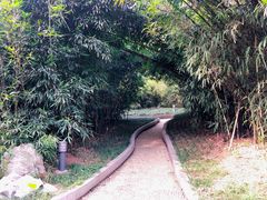 -菊花台公园