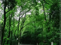 -岳麓山风景名胜区