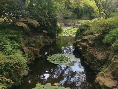 -上海醉白池公园