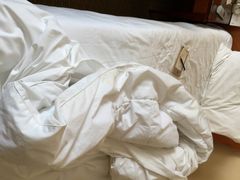 金陵饭店-南京金陵饭店