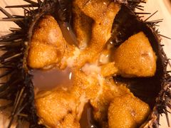 -海胆小馆(东北水饺·春柳店)