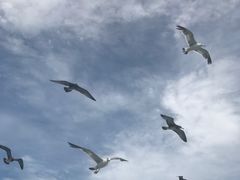 -海驴岛(荣成市)