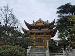 -上海东林寺(金山区)