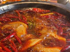 -蜀大侠火锅(总府路店)