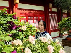 -太阳宫公园