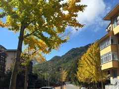 -洛阳白云山景区