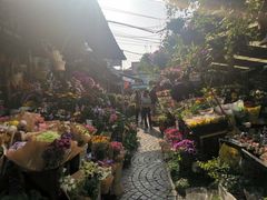 -曲阳花鸟市场(曲阳路店)