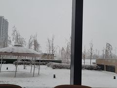 -香厨中餐厅(松北香格里拉店)