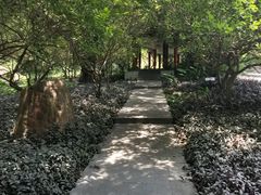 -金鸡山公园