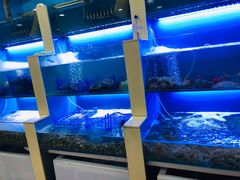 水产区-老虎滩大连海鲜烧烤(建邺云锦路总店)