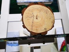 -一品格美术·中考高中成人美术培训