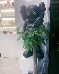 -AYO SALON
