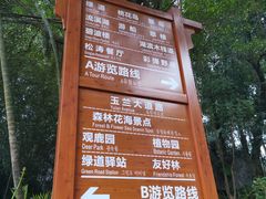 -广州市流溪河国家森林公园
