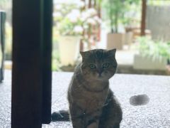 -谷咖啡·鲜花绿植花园餐厅