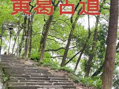 -古道第一家餐馆