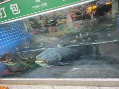 -全乐鱼馆·淳牌有机鱼直营店